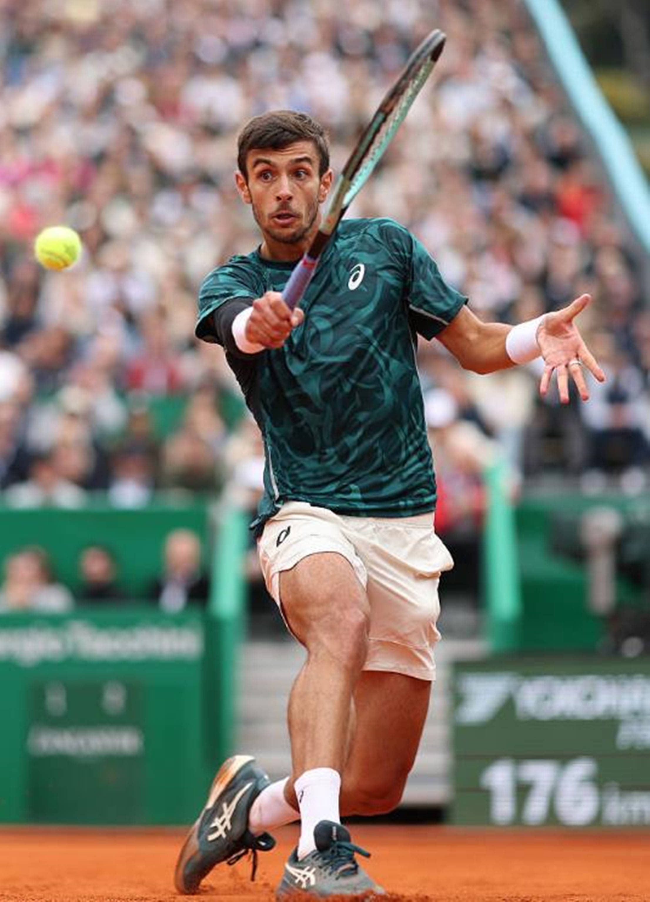 自然引用 自然引用