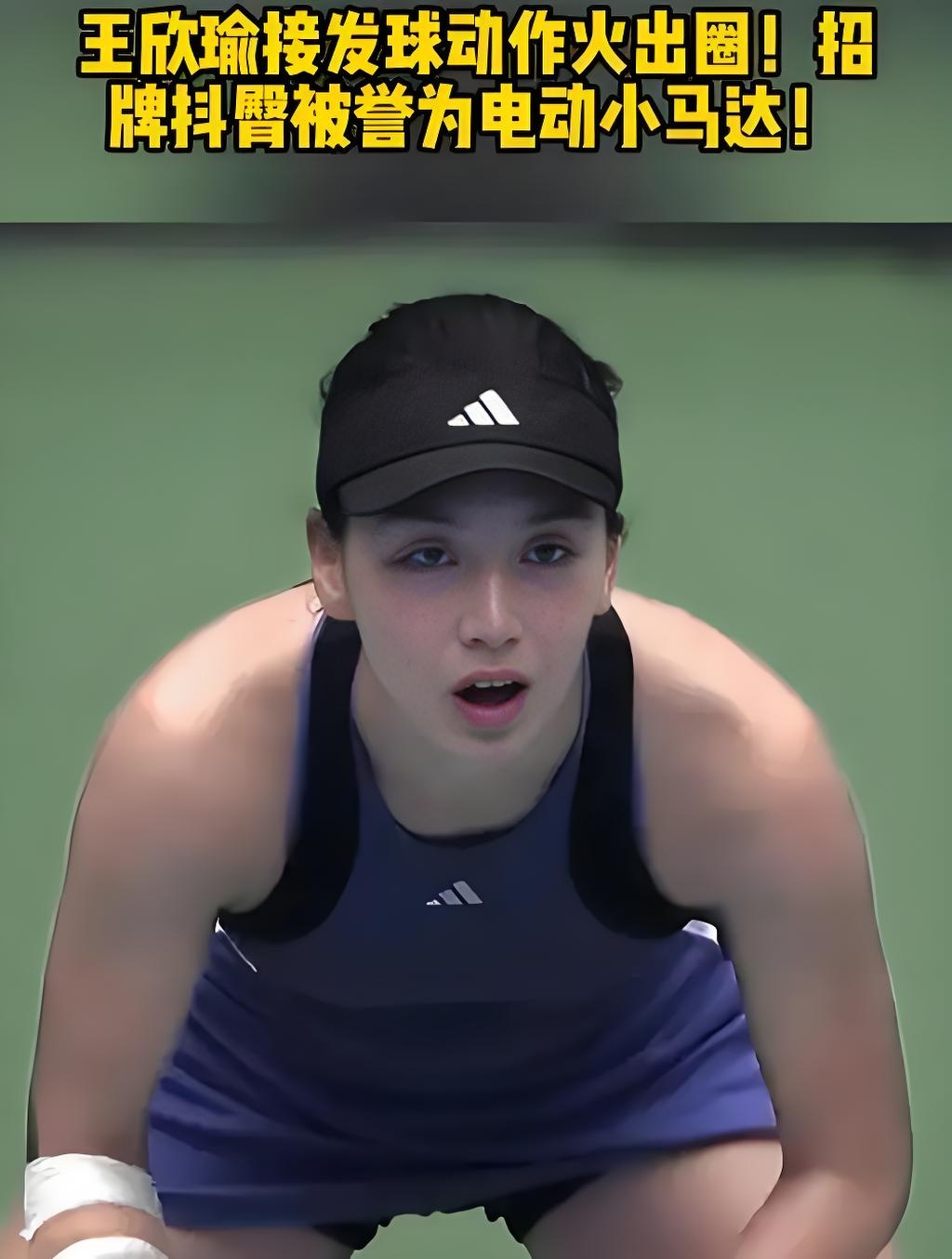 风险极高 风险极高